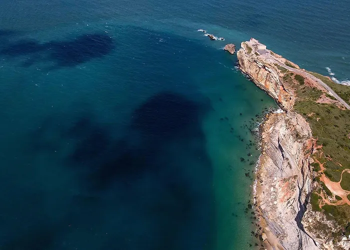 Mare